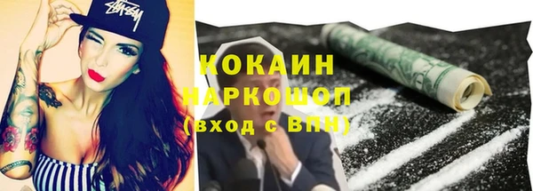 соль ск Шадринск