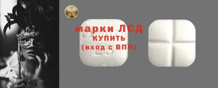 винт Чегем