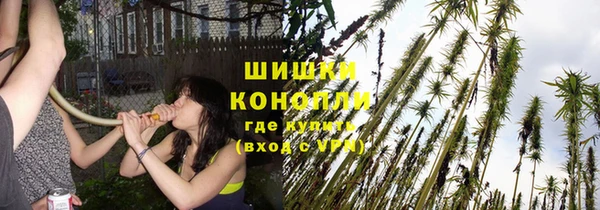 эйфоретик Чекалин